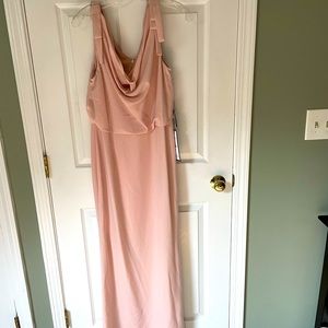 Adrianna Papell Blush Formal Dress
